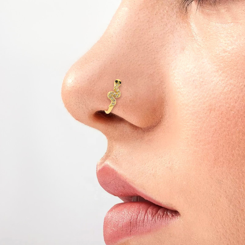 پیرسینگ بینی در اندیشه